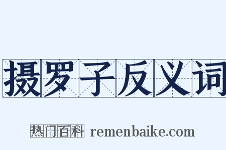 摄罗子反义词是什么意思的图片